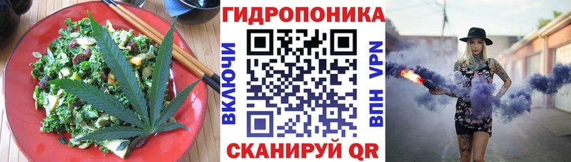 mega ТОР  Зубцов  Canna-Cookies конопля 