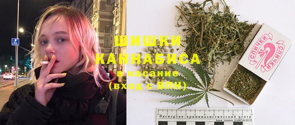 PSILOCYBIN Абаза